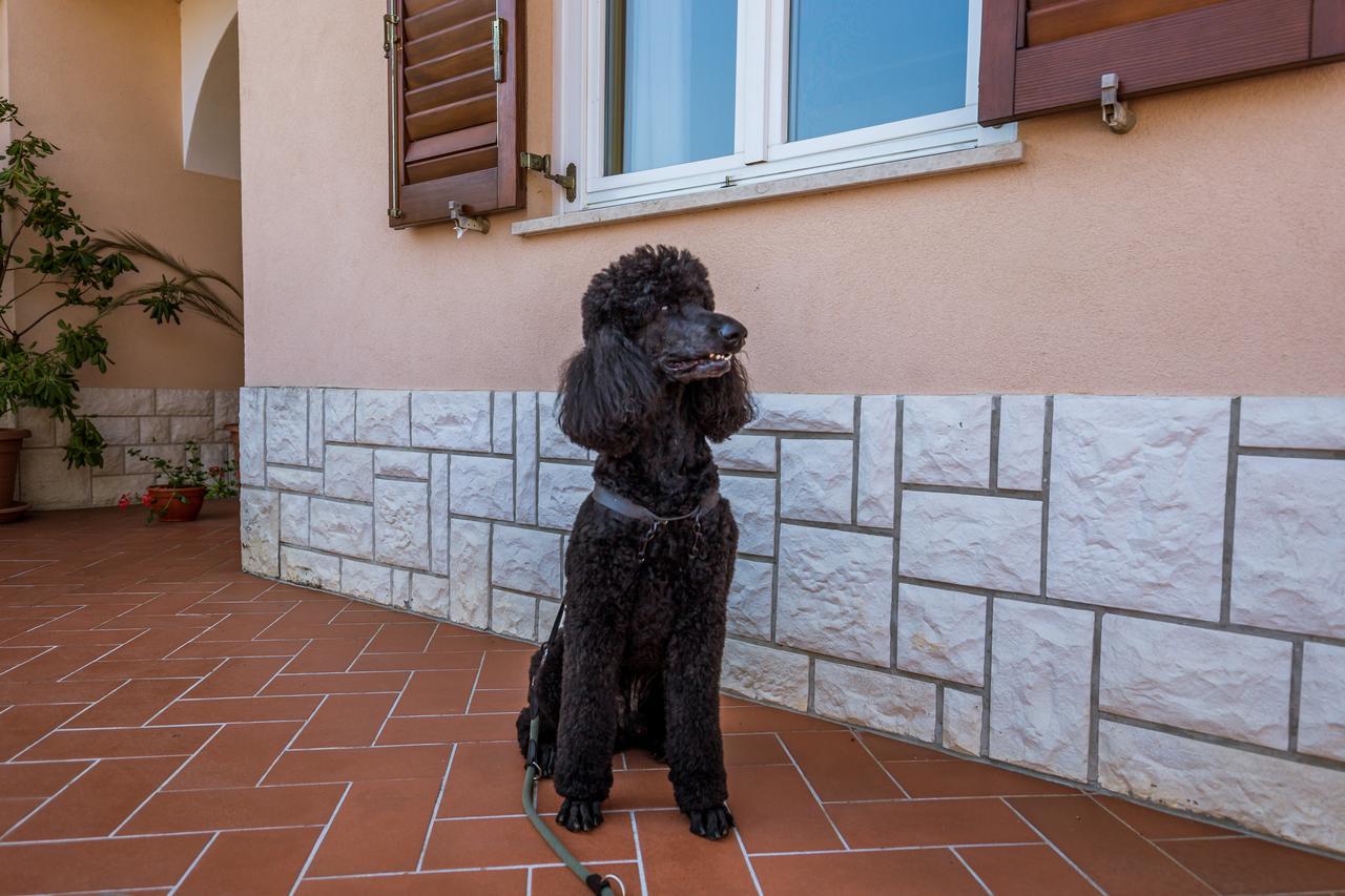 Rona Apartments Ani Ičići Exterior foto